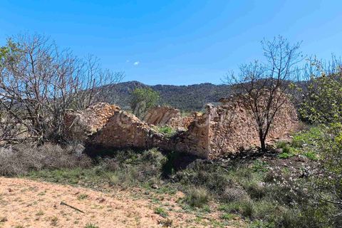 Helårsgrund i Yecla, Murcia, Yecla - € 26.500 | Ref: SF0526 - foto 2